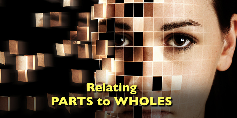 Relating PARTS to WHOLES